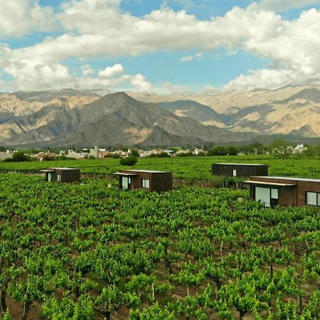 El Porvenir Wine Lodge 카파야테 외부 사진