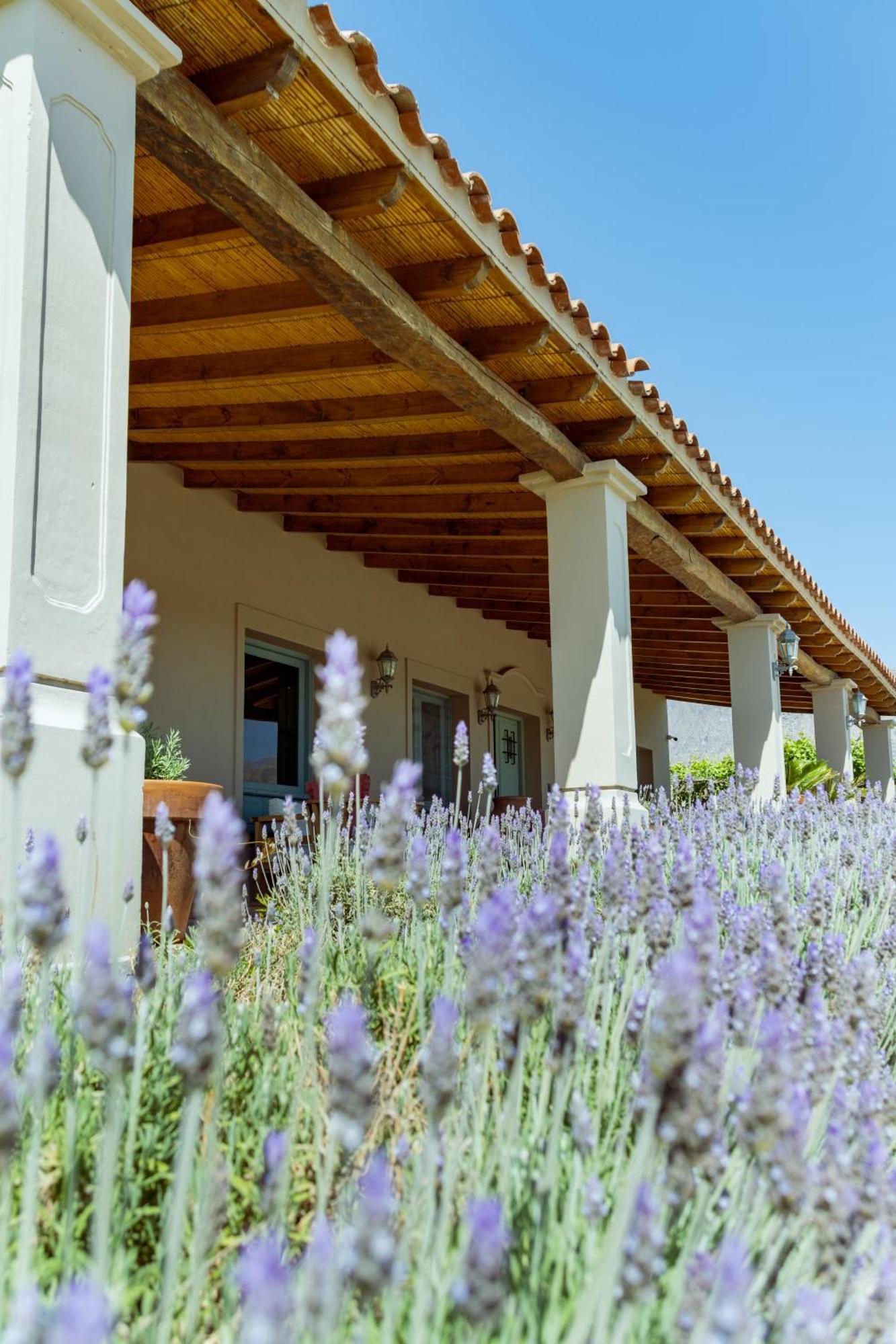 El Porvenir Wine Lodge 카파야테 외부 사진