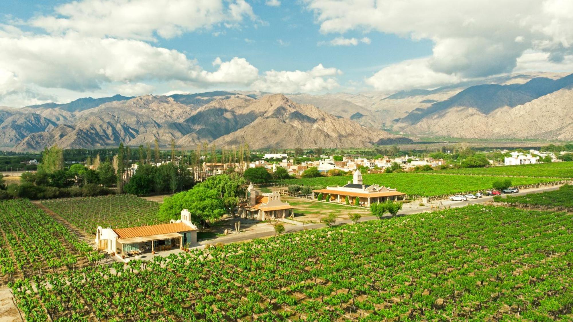 El Porvenir Wine Lodge 카파야테 외부 사진