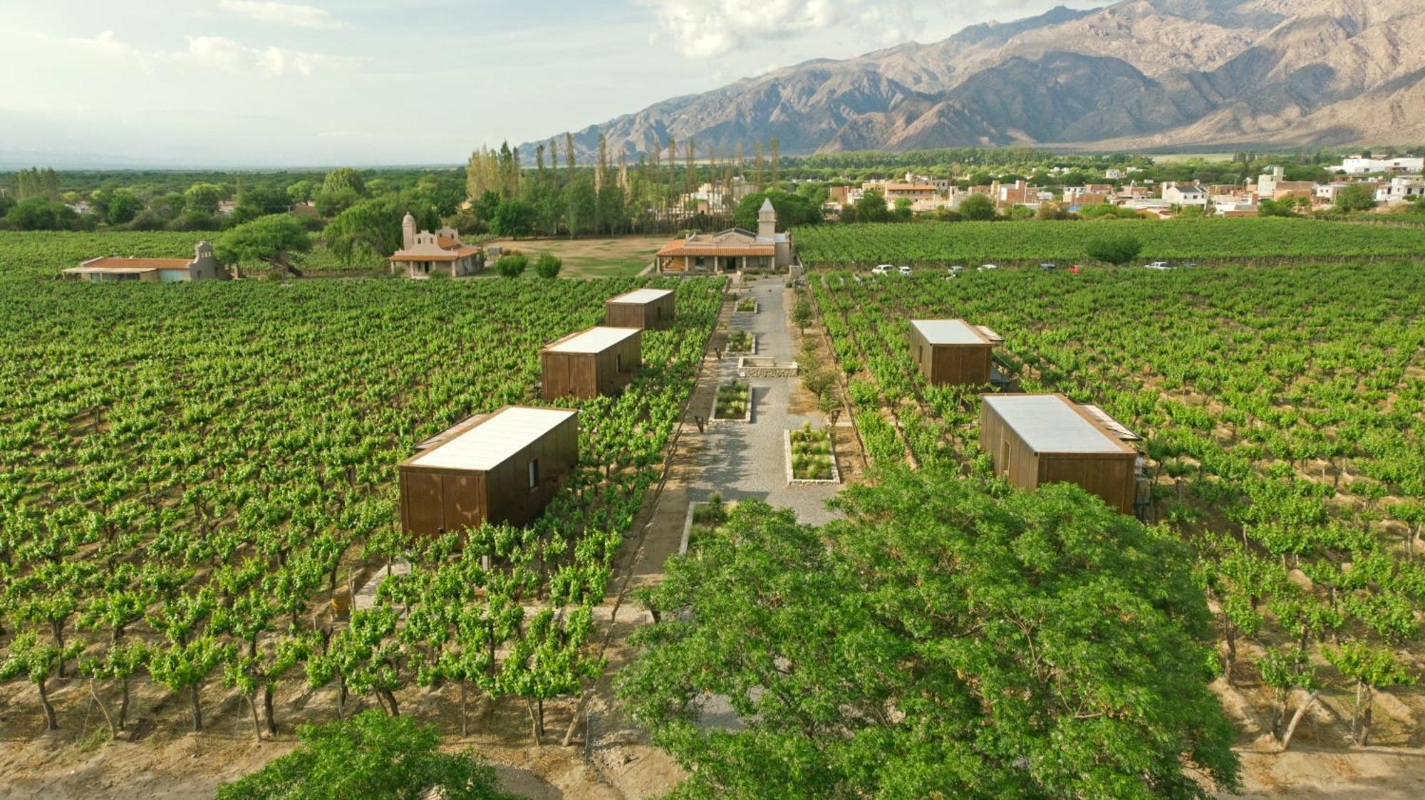 El Porvenir Wine Lodge 카파야테 외부 사진