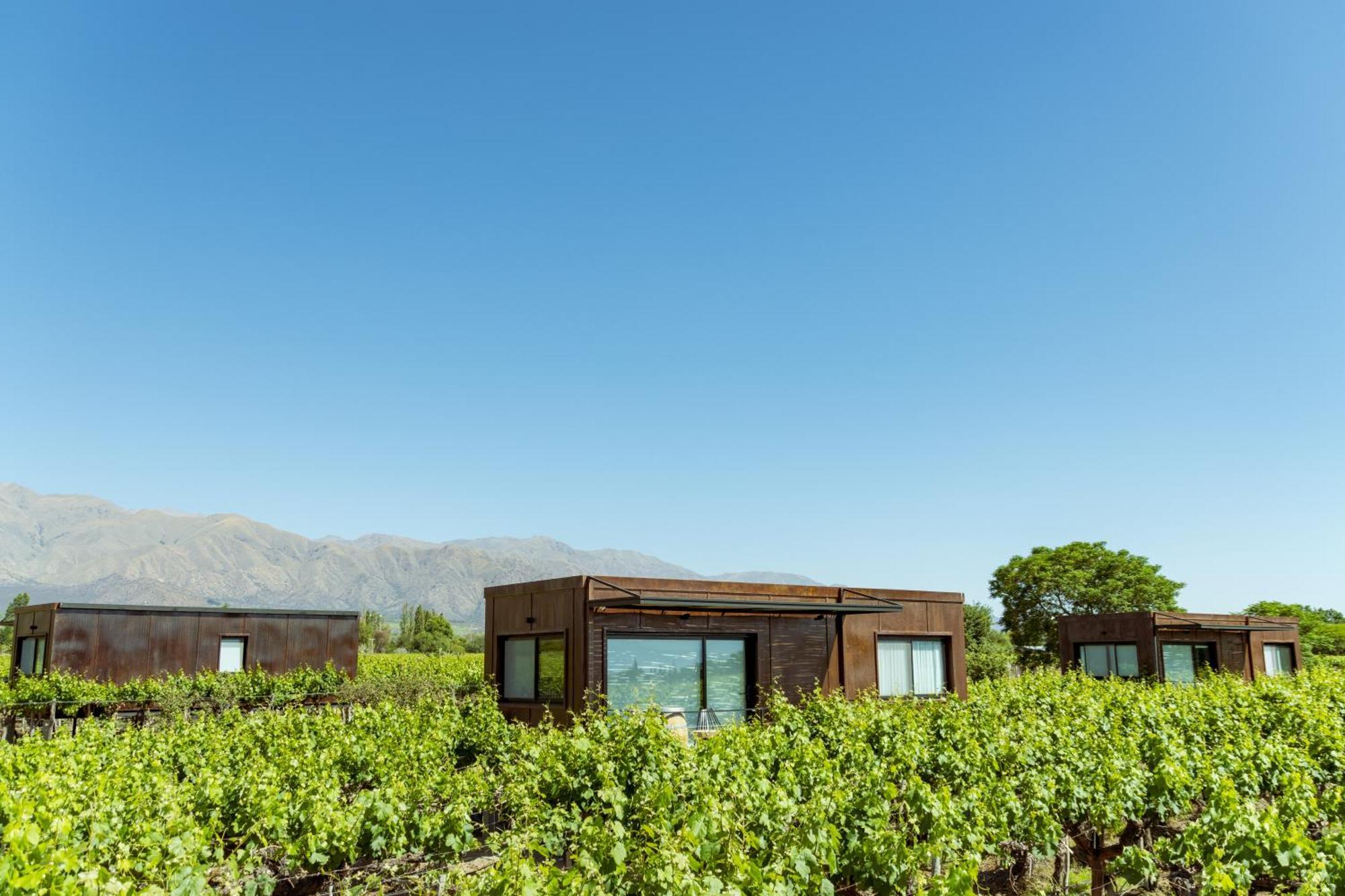 El Porvenir Wine Lodge 카파야테 외부 사진