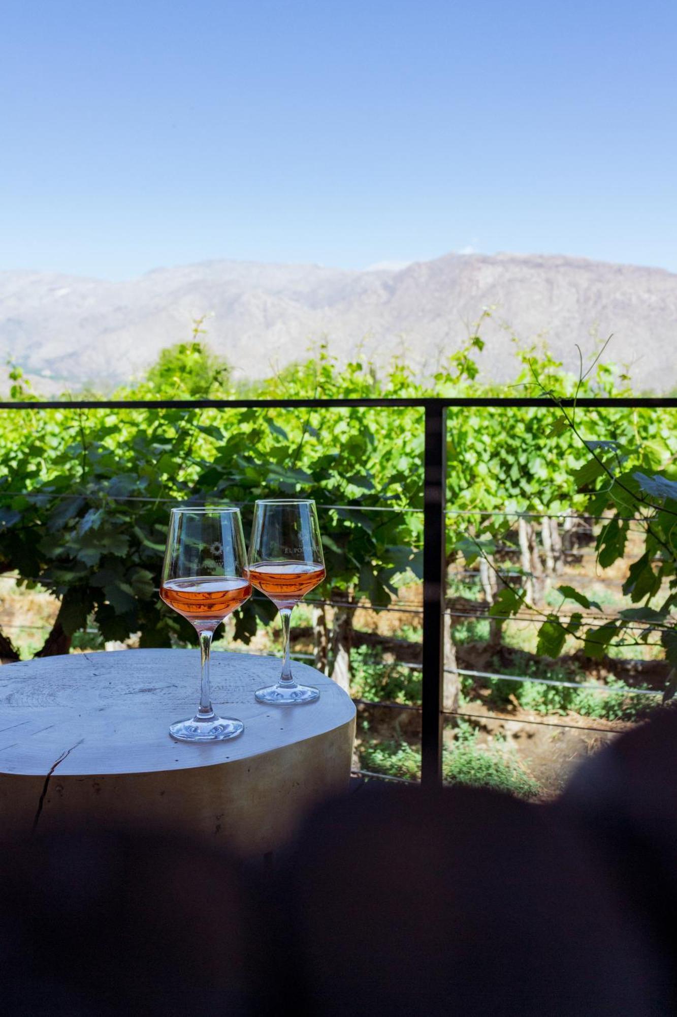 El Porvenir Wine Lodge 카파야테 외부 사진