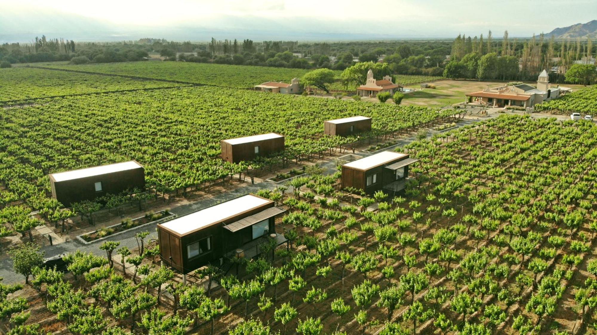 El Porvenir Wine Lodge 카파야테 외부 사진