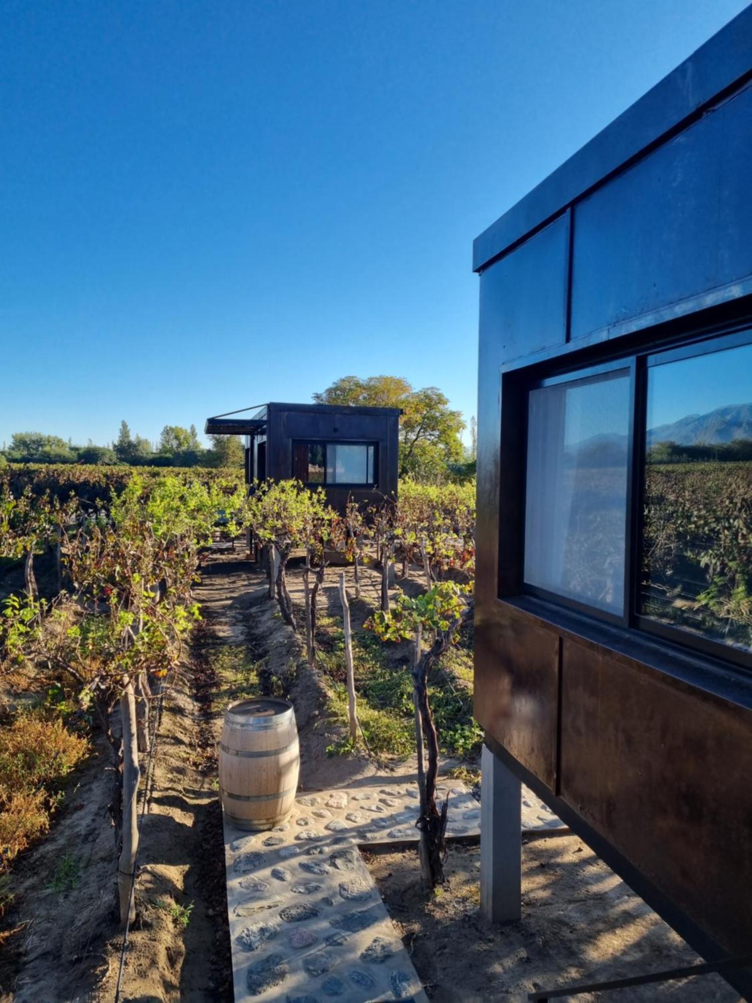 El Porvenir Wine Lodge 카파야테 외부 사진